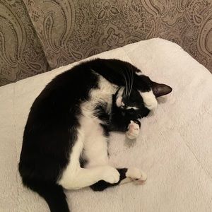 Meet your Posher, Evan